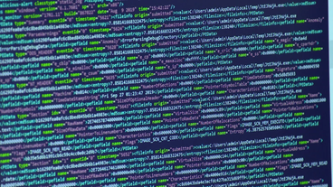 Bild: SWR Programmcode auf einem Monitor