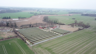 Luftbild einer Nerzfarm in Dänemark
