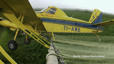 Bild: Oxfam/SWR Die Pestizide werden per Flugzeug versprüht.