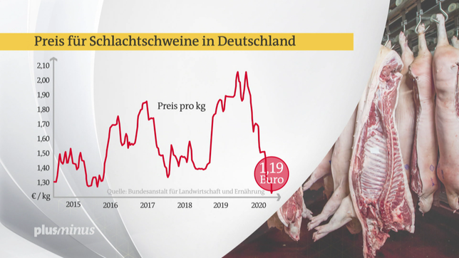 Bild: SWR Grafik: Preis für Schweine