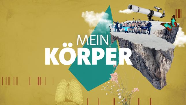 Bild: SWR, HR, Bilderfest, colourbox.com; Montage: BR Mein Körper | ARD Wissen