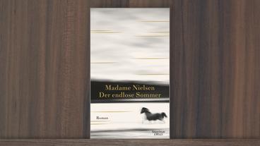 Bild: Kiepenheuer & Witsch Cover von Madame Nielsens Buch "Der endlose Sommer"