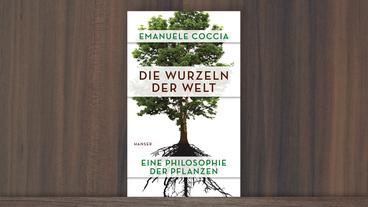 Bild: Hanser Verlag Cover von Emanuele Coccias Buch "Die Wurzeln der Welt"