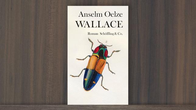Bild: Verlag Schöffling & Co. Cover des Buchs "Wallace" von Anselm Oelze