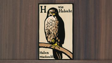 Bild: Das Erste/ Ullstein "H wie Habicht" von Helen Macdonald