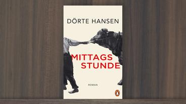 Cover des Buchs "Mittagsstunde" von Dörte Hansen