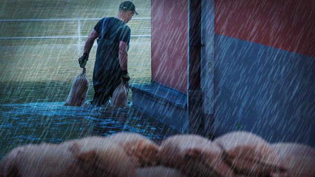 Wie Regen lebensgefährlich wird