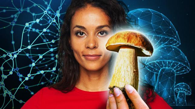 Bild: WDR/Tilman Schenk/mauritius images/Swill Klitch Es gibt mehr Pilzarten als man glaubt – und nicht nur zum Essen. Pilze können viel mehr, sie sind eine Art biologische Wunderwaffe. Sie können Schadstoffe aus Luft, Boden und Wasser filtern. Sie können Plastik und umweltschädliche Baustoffe ersetzen und man kann sie sogar zu Textilien verarbeiten. Und das Wichtigste: sie sind biologisch abbaubar. Außerdem produzieren sie schon heute viele Grundstoffe für aktuelle und zukünftige Medikamente. Quarks bringt uns in Sachen Problemlöser Pilze auf den neuesten Stand der Wissenschaft. - Moderatorin Florence Randrianarisoa
