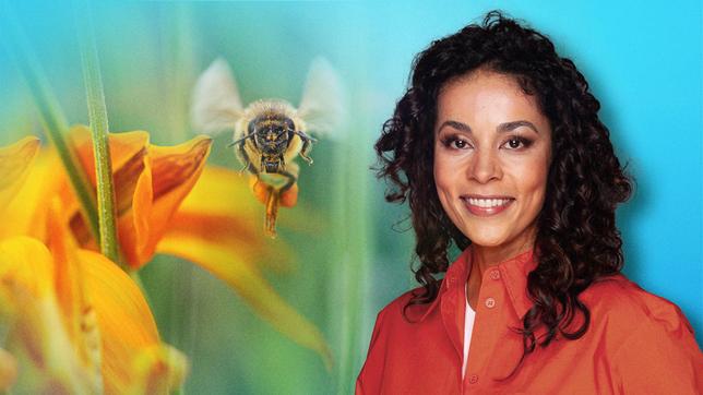 Bild: WDR/Tilman Schenk/IMAGO Es ist ein Pakt, gewachsen über Jahrmillionen: das Zusammenspiel zwischen Pflanzen und ihren Bestäubern. Jede Blüte lockt auf eigene Weise - immer perfekt angepasst an ihren tierischen Partner: die eine mit süßem Duft, die andere mit Aasgestank und die nächste mit beeindruckender Farbenpracht. So haben sich über die Zeit die unterschiedlichsten und faszinierendsten Blütenformen entwickelt. Viele von ihnen stellen wir uns auch gern ins Wohnzimmer. Egal ob Lilie, Gerbera oder Rose - zu haben sind sie bei uns das ganze Jahr über. Dafür sorgen Produzenten in aller Welt. Über 80% der Blumen importieren wir - aus Kenia, Ecuador, Kolumbien oder auch aus Gewächshäusern in Holland. - Florence Randrianarisoa moderiert die Sendung.