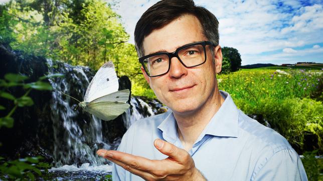 Bild: WDR/Annika Fußwinkel/pa/Alois Litzlba /Imago/Arnulf Hettrich/blickwinkel/A. Hartl Die beeindruckende Natur Nordrhein-Westfalens entdecken: Quarks zeigt die besonders sehenswerten Orte.