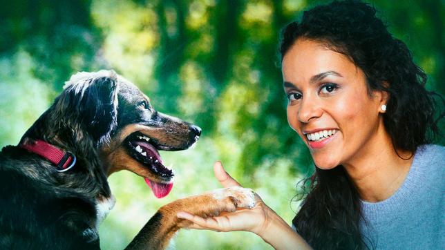 Vor etwa 23.000 Jahren wurde der Grundstein der einzigartigen Beziehung zwischen Hund und Mensch gelegt. Während der großen Eiszeit in Sibirien näherten sich Wolf und Mensch einander an – davon geht die neueste Forschung aus. Nach und nach entwickelte sich aus dem wilden Wolf ein verlässlicher Begleiter des Menschen.