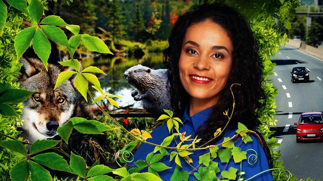 Bild: WDR/Tilman Schenk/picture alliance/dpa/blickwinkel Wir Menschen sind fast überall. Selbst, wenn wir „raus in die Natur“ gehen, ist diese von uns geprägt. Der Wald wird durchforstet, um Holz zu liefern, die Wiesen dienen der Viehzucht, Skipisten führen durch Gletscherregionen und aus den Städten hat sich die echte Natur schon längst verabschiedet. Schon lange wissen wir, wie dringend es ist, eine lebenswerte Umwelt und das Klima zu schützen. Wie schaffen wir mehr Artenvielfalt, mehr echte Natur auch in unseren dichtbesiedelten Ballungsräumen in Europa? Also Ökosysteme, die nicht von Menschen gestört werden. Auf der Weltnaturkonferenz im Dezember 2022 einigte sich die Staatengemeinschaft darauf, 30 Prozent der Meere und der Landesflächen unter Schutz zu stellen. Bis 2030 soll so der Verlust der biologischen Vielfalt gestoppt und der Trend umgekehrt werden. Ein ehrgeiziges Ziel.