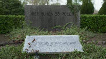 Bild: NDR Ein Grabstein mit der Aufschrift "Hier ruhen 28 Polen"