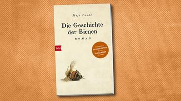 Bild: NDR Das Cover des Buches "Die Geschichte der Bienen" von Maja Lunde.