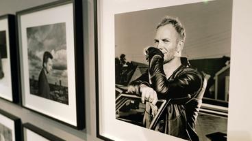 Olaf Heine: "Human Conditions"- Blick in die Ausstellung auf ein Porträt von Sting