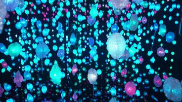 Bild: NDR 3000 von der Decke hängenden LED-Lichter bilden einen Pixelwald in der Kunsthalle Bremen.