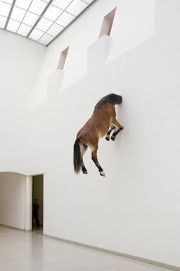 Bild: Kunstmuseum Stuttgart Skulptur eines Pferdes, das den Kopf in die Wand steckt