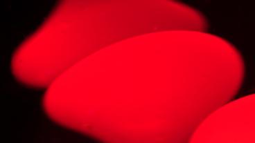 Bild: BR Rot
