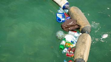 Bild: IMAGO Plastikmüll im Meer