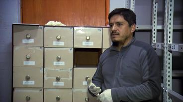 Bild: NDR Ein Mann steht vor einem Schrank mit Karteikästen.