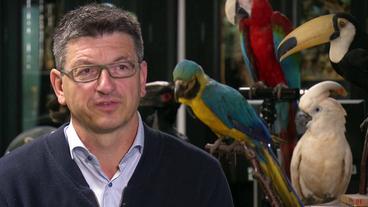 Bild: NDR Matthias Glaubrecht