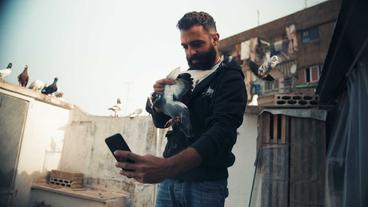 Kash Kash-Spieler Hassan mit einer seiner Tauben