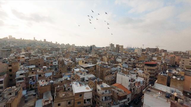 Taubenschwarm über Beirut
