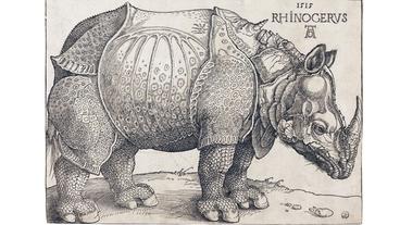 Bild: Matthes & Seitz Dürers Rhinocerus von 1515