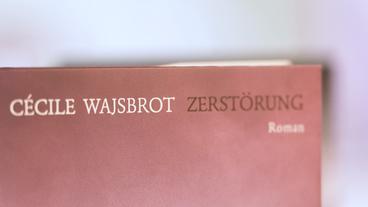 Bild: ARD Ein Teil des Covers des Buches "Zerstörung".