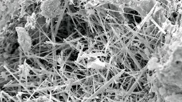 Bild: NDR Aluminium-Tobermorite im Elektronenmikroskop