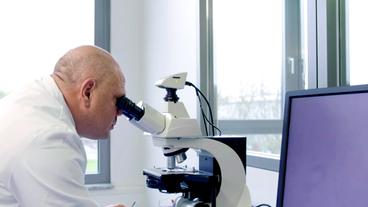 Prof. Andreas Vilcinskas schaut durch ein Mikroskop