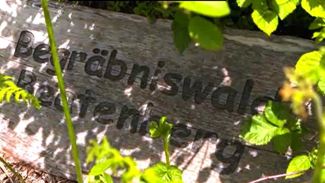 Bild: SWR Schild eines Begräbniswaldes