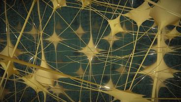 Schematische Darstellung der neuronalen Netzwerke im menschlichen Gehirn. 