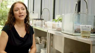 Bild: WDR Lola Guaderas vor Terrarien im Labor