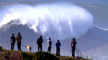 Bild: WDR Brechende Welle bei Nazaré mit Beobachtern