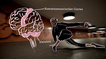 Bild: WDR Artist macht Figur am Boden sowie Grafik Gehirn