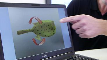 Die Grafik eines Fisches mit Pfeilen um seinen Körper, wird auf einem Bildschirm gezeigt.