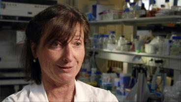 Bild: WDR Bild von Sylvie Babajko, Forscherin bei INSERM Paris