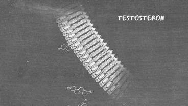 Zeichnung von Testosteron auf Kreidetafel