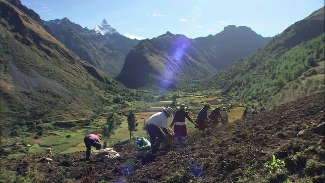 Bewohner der Anden bei der Feldarbeit