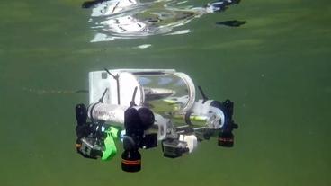 Bild: NDR Tauchroboter unter Wasser