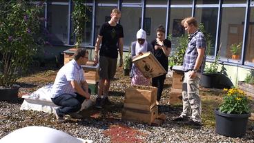 Bild: BR Schülerinnen, Lehrer und Bienenforscher an einem Bienenstock auf Schuldach in Hamburg