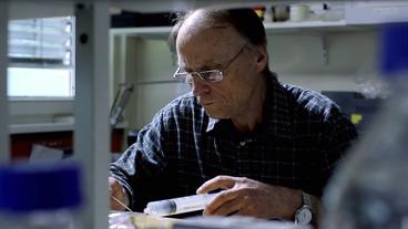 Bild: SWR Prof. Randolf Menzel