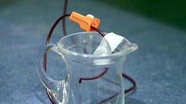 Bild: HR Blut fließt in eine Glasflasche