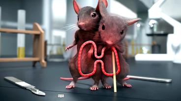 Zwei Mäuse in einer Animation