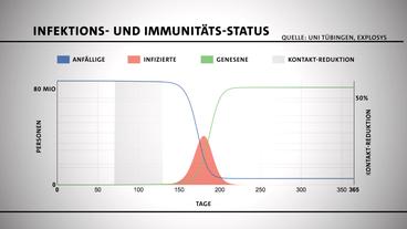 Grafik stellt die Infektionszahlen in Abhängigkeit von der Zeit dar