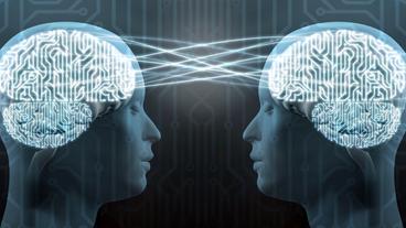 Graphische Abbildung zweier Menschen, deren Gehirne durch Wellen miteinander verbunden sind.