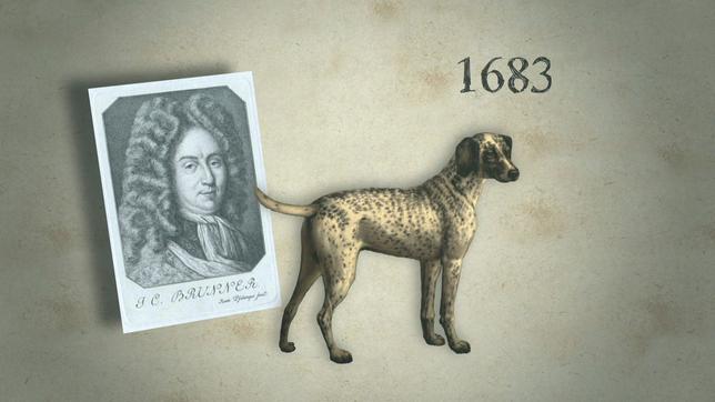 Ein Hund und ein Bild eines Mannes aus dem Mittelalter als Grafik.
