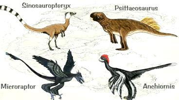 Bild: BR Dinosaurier