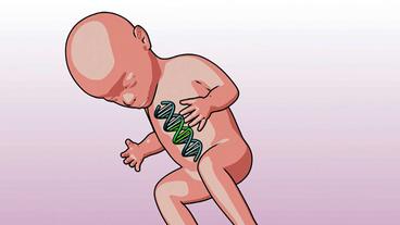Bild: WDR Embryo mit manipuliertem Erbgut